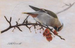 colored pencil portraits by animal artist Colette Theriault