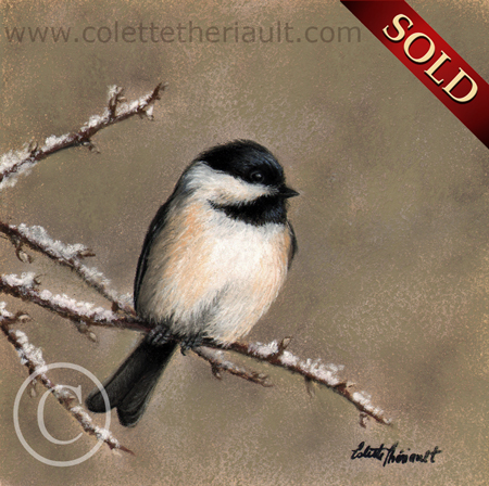 winter chickadee on branch painting